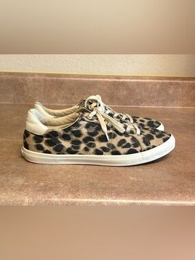 Leopard Print Canvas Lace-Up Sneakers - Women